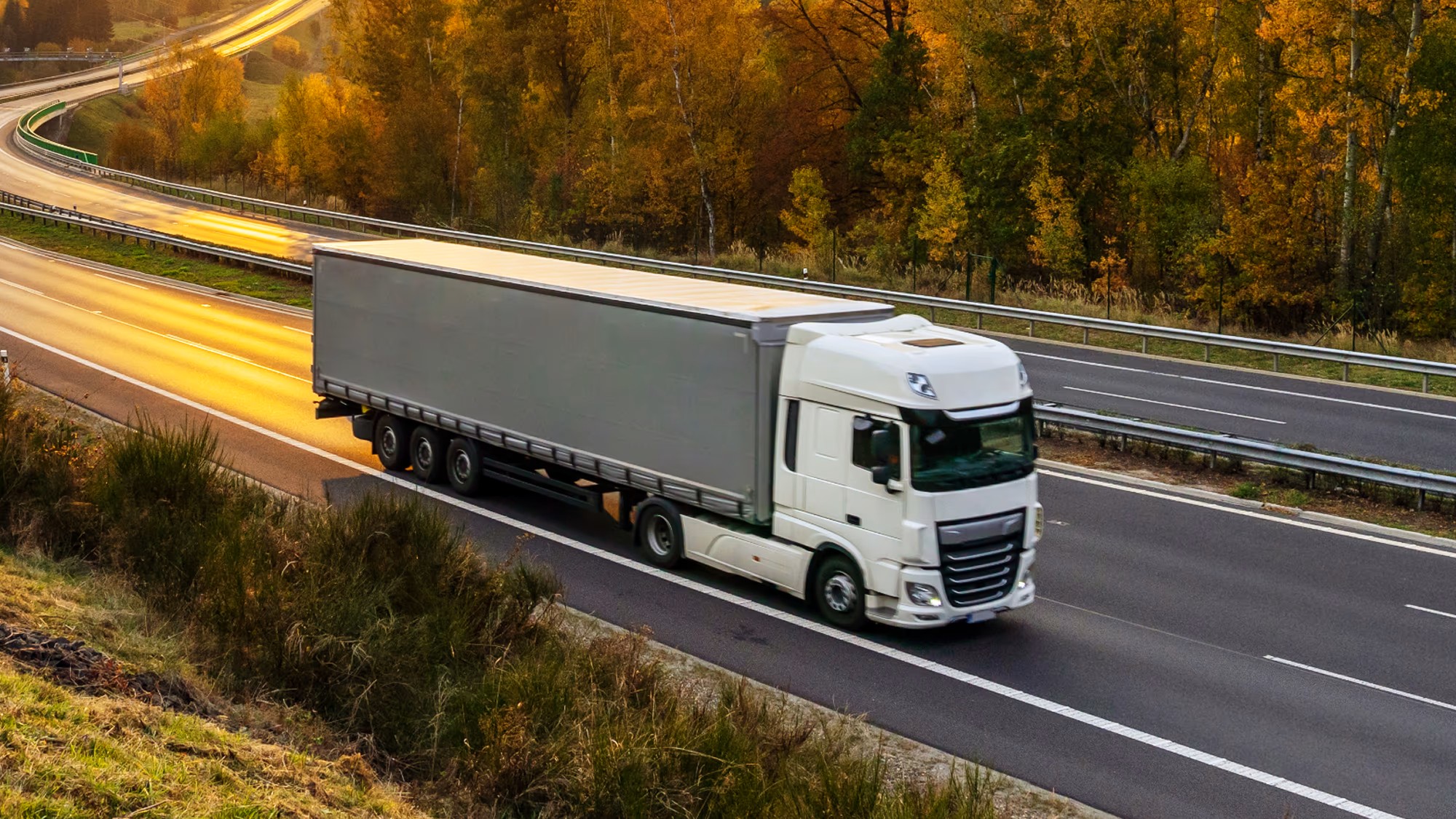 Daf 2